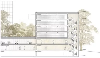 agence-immobiliere-geneve-museum-histoire-naturelle-dessin2