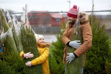 Comment choisir son sapin de Noël ?