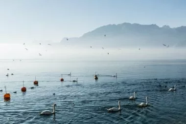 Que faire un dimanche à Genève ?